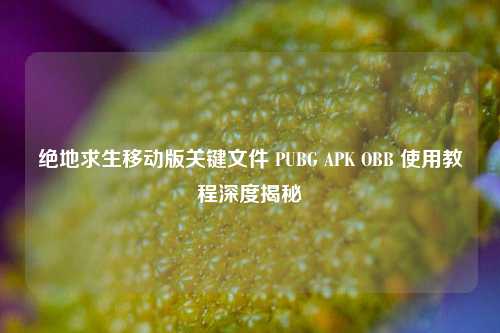 绝地求生移动版关键文件 PUBG APK OBB 使用教程深度揭秘