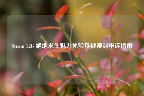 Steam 32G 绝地求生魅力体验及被误封申诉指南