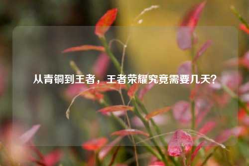 从青铜到王者，王者荣耀究竟需要几天？