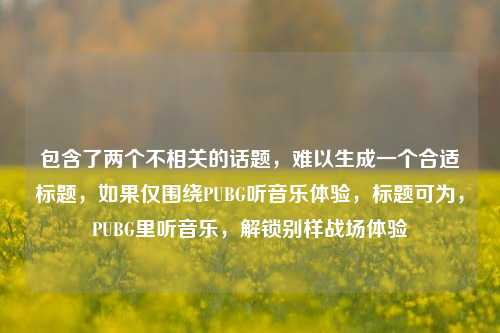 包含了两个不相关的话题，难以生成一个合适标题，如果仅围绕PUBG听音乐体验，标题可为，PUBG里听音乐，解锁别样战场体验