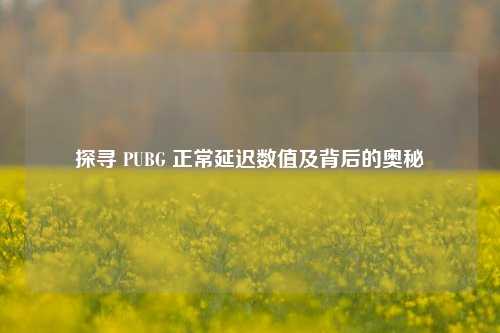探寻 PUBG 正常延迟数值及背后的奥秘