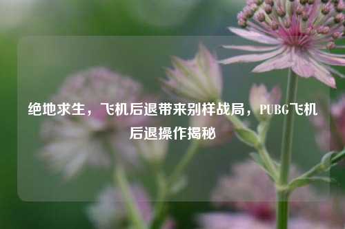 绝地求生，飞机后退带来别样战局，PUBG飞机后退操作揭秘
