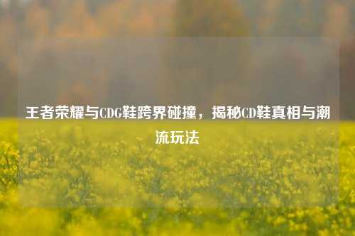 王者荣耀与CDG鞋跨界碰撞，揭秘CD鞋真相与潮流玩法