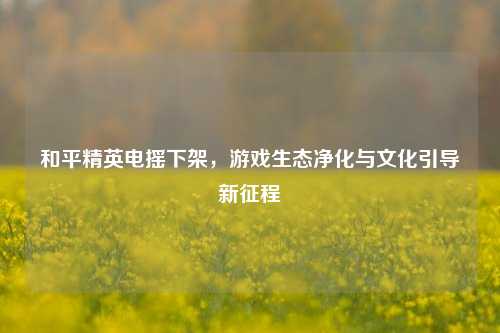 和平精英电摇下架,游戏生态净化与文化引导新征程