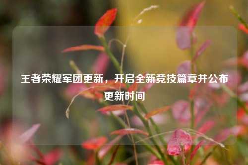 王者荣耀军团更新,开启全新竞技篇章并公布更新时间