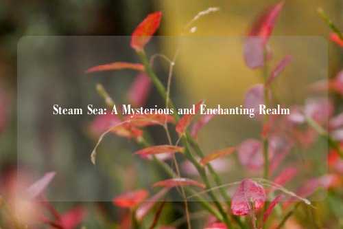 Steam Sea: A Mysterious and Enchanting Realm