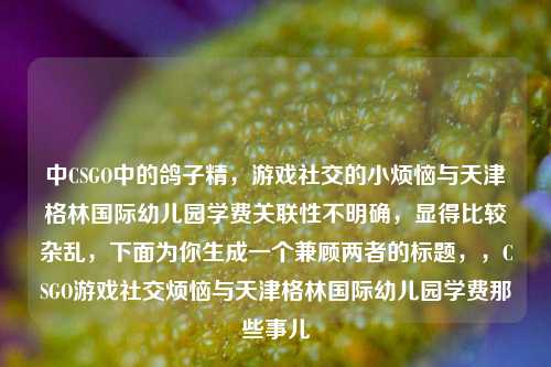 中CSGO中的鸽子精,游戏社交的小烦恼与天津格林国际幼儿园学费关联性不明确,显得比较杂乱,下面为你生成一个兼顾两者的标题,,CSGO游戏社交烦恼与天津格林国际幼儿园学费那些事儿