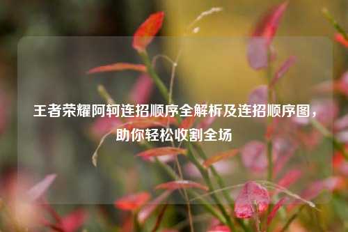 王者荣耀阿轲连招顺序全解析及连招顺序图，助你轻松收割全场
