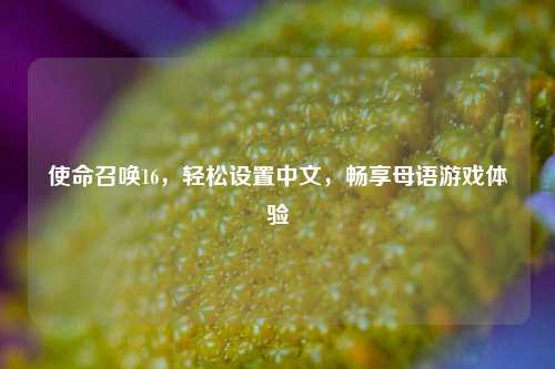 使命召唤16,轻松设置中文,畅享母语游戏体验