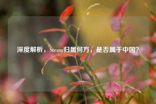 深度解析，Steam归属何方，是否属于中国？