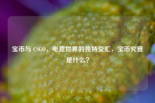 宝币与 CSGO，电竞世界的独特交汇，宝币究竟是什么？