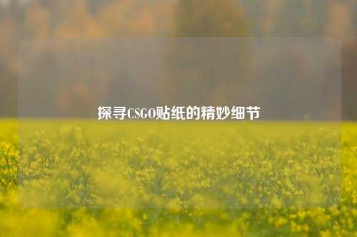 探寻CSGO贴纸的精妙细节