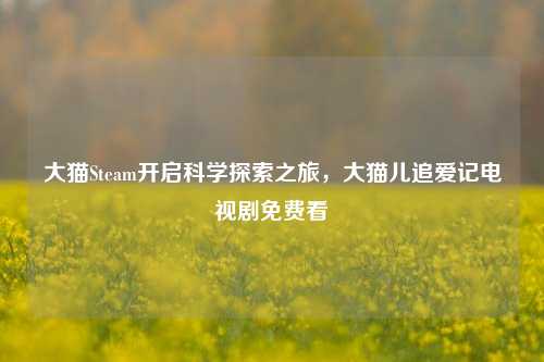 大猫Steam开启科学探索之旅,大猫儿追爱记电视剧免费看