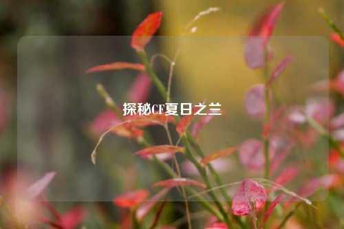 探秘CF夏日之兰