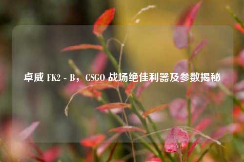 卓威 FK2 - B，CSGO 战场绝佳利器及参数揭秘