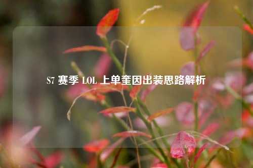 S7 赛季 LOL 上单奎因出装思路解析