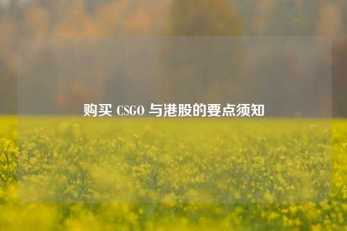购买 CSGO 与港股的要点须知