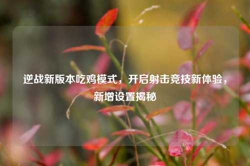 逆战新版本吃鸡模式,开启射击竞技新体验,新增设置揭秘