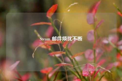 Steam 邮件烦扰不断