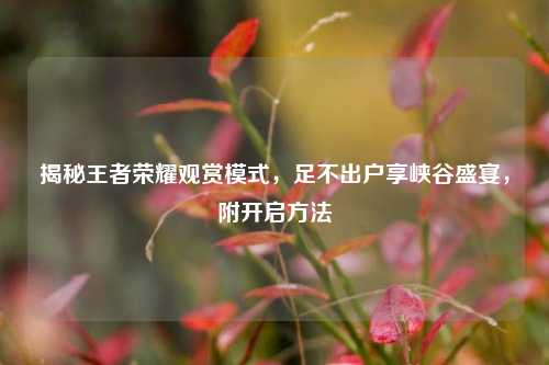揭秘王者荣耀观赏模式，足不出户享峡谷盛宴，附开启方法