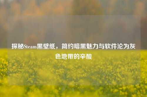 探秘Steam黑壁纸，简约暗黑魅力与软件沦为灰色地带的辛酸