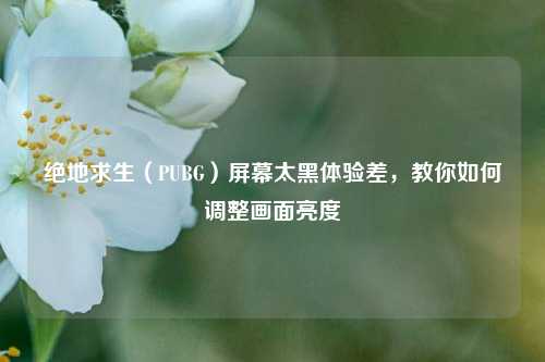 绝地求生(PUBG)屏幕太黑体验差,教你如何调整画面亮度