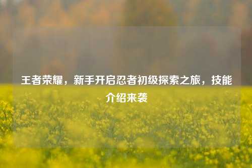 王者荣耀,新手开启忍者初级探索之旅,技能介绍来袭
