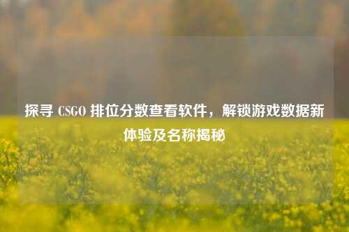 探寻 CSGO 排位分数查看软件,解锁游戏数据新体验及名称揭秘