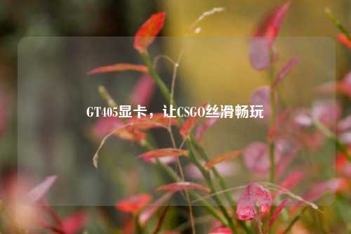 GT405显卡，让CSGO丝滑畅玩