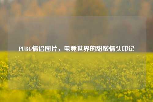 PUBG情侣图片,电竞世界的甜蜜情头印记