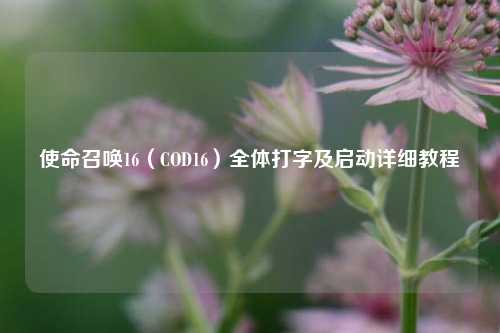 使命召唤16（COD16）全体打字及启动详细教程