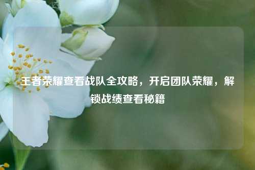 王者荣耀查看战队全攻略，开启团队荣耀，解锁战绩查看秘籍