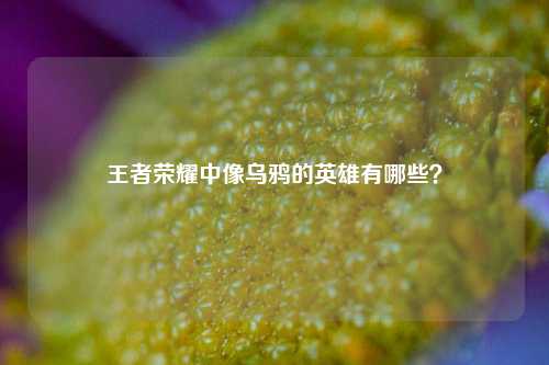 王者荣耀中像乌鸦的英雄有哪些？