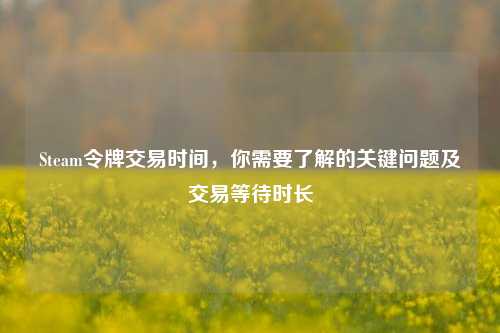 Steam令牌交易时间,你需要了解的关键问题及交易等待时长
