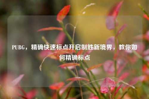 PUBG,精确快速标点开启制胜新境界,教你如何精确标点