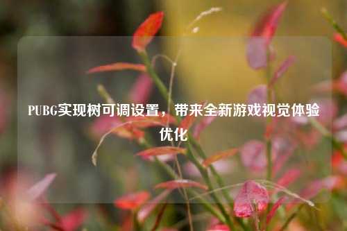 PUBG实现树可调设置,带来全新游戏视觉体验优化