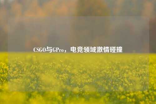 CSGO与GPro,电竞领域激情碰撞