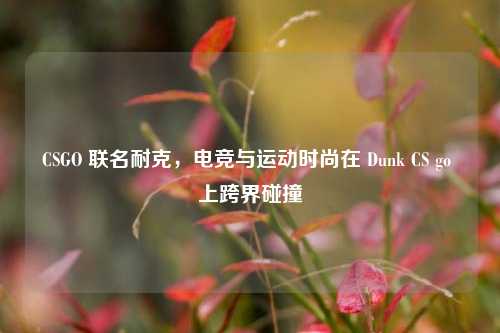 CSGO 联名耐克,电竞与运动时尚在 Dunk CS go 上跨界碰撞