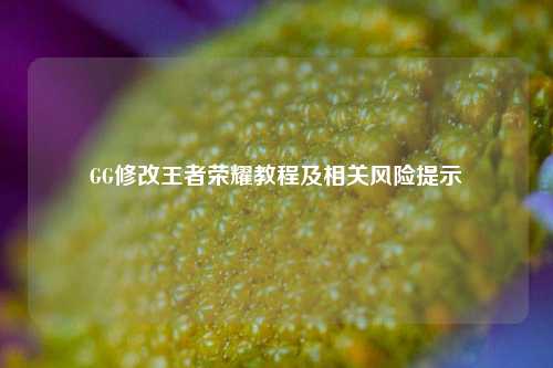 GG修改王者荣耀教程及相关风险提示