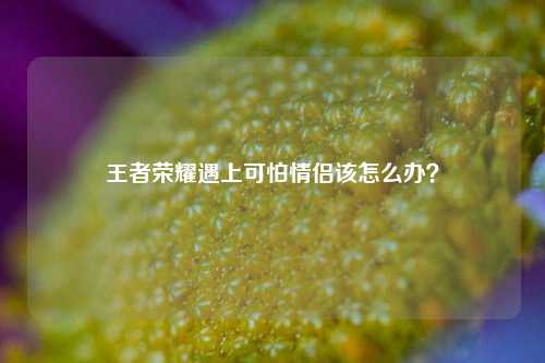 王者荣耀遇上可怕情侣该怎么办？