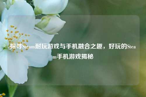 探寻Steam耐玩游戏与手机融合之趣,好玩的Steam手机游戏揭秘