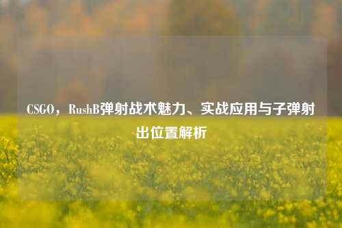 CSGO,RushB弹射战术魅力、实战应用与子弹射出位置解析