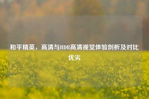 和平精英，高清与HDR高清视觉体验剖析及对比优劣