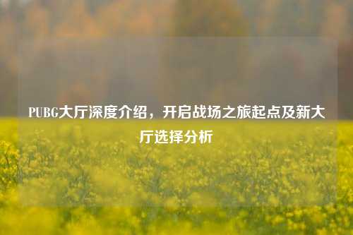 PUBG大厅深度介绍，开启战场之旅起点及新大厅选择分析