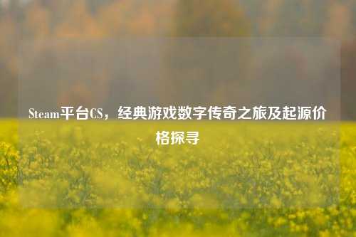 Steam平台CS，经典游戏数字传奇之旅及起源价格探寻