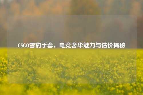 CSGO雪豹手套,电竞奢华魅力与估价揭秘