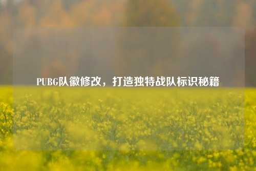 PUBG队徽修改,打造独特战队标识秘籍