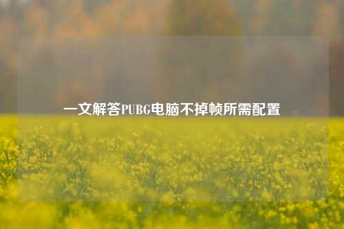 一文解答PUBG电脑不掉帧所需配置