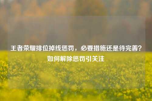 王者荣耀排位掉线惩罚,必要措施还是待完善?如何解除惩罚引关注