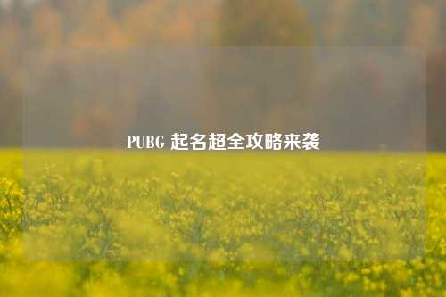 PUBG 起名超全攻略来袭